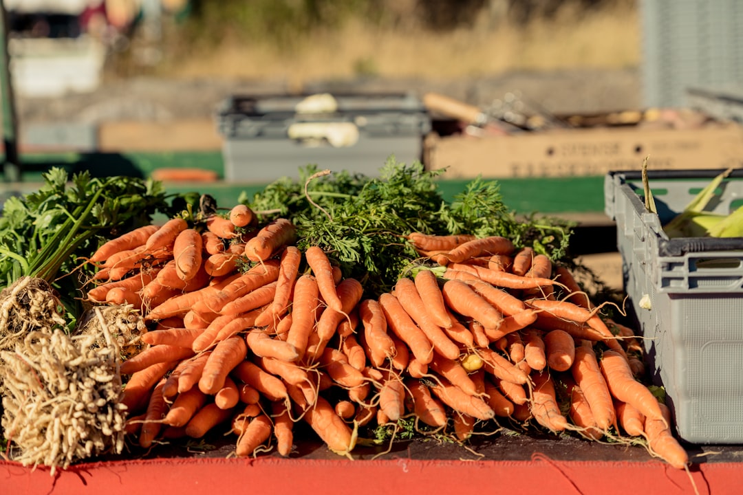 entdecken sie alles über karotten: anbau, gesundheitliche vorteile, rezepte und tipps zur lagerung dieses vielseitigen gemüses.