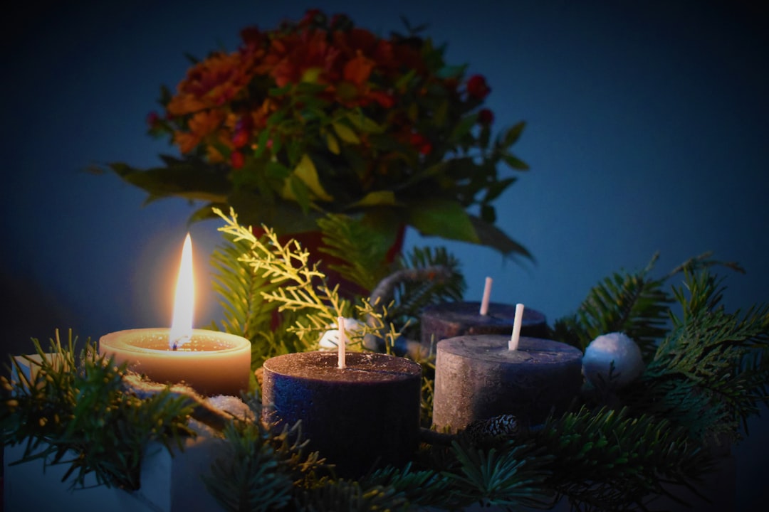 entdecken sie die schönheit der christrose, eine winterblühende pflanze, die ihrem garten oder zuhause in der weihnachtszeit einen besonderen charme verleiht.
