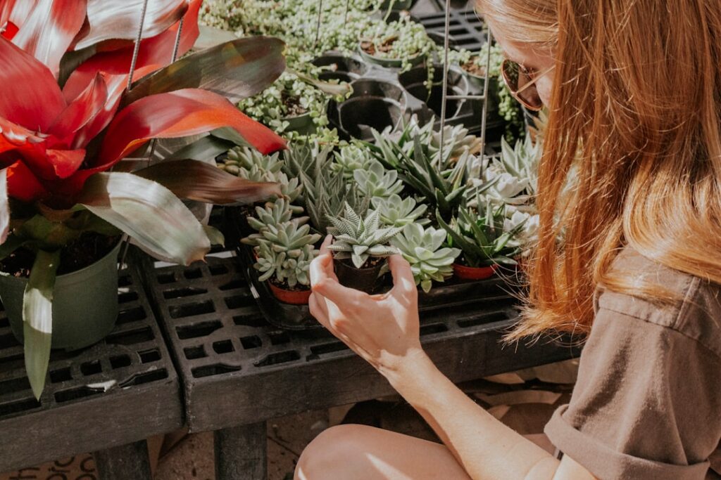 pflege von laurustinus-pflanzen: tipps zur bewässerung, standortwahl und schnitt, um gesunde und schöne pflanzen zu erhalten.