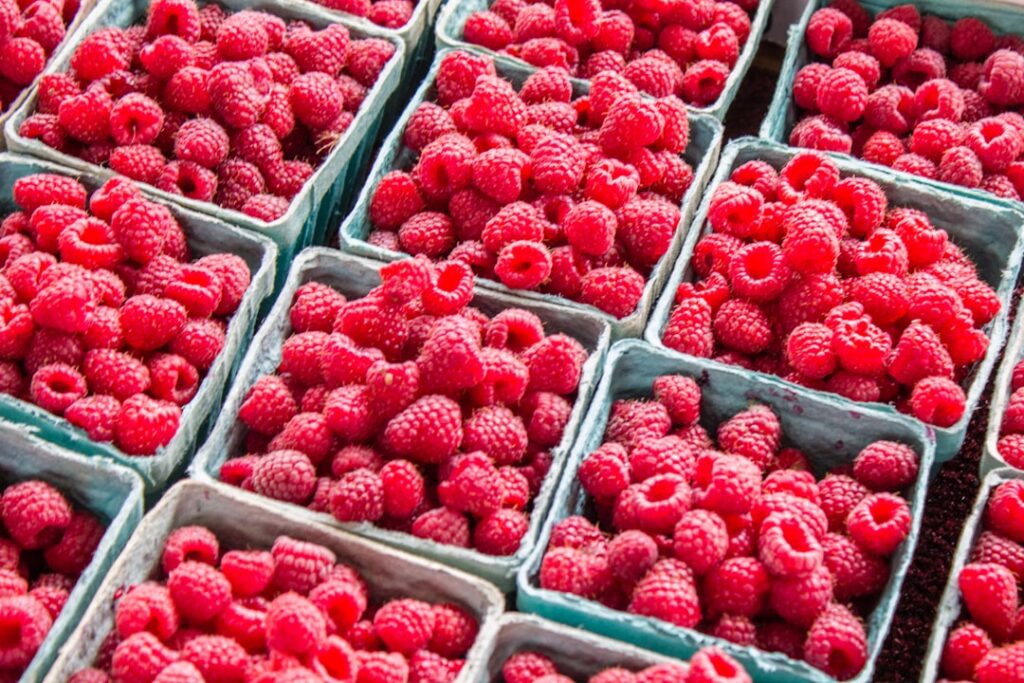 frische himbeeren: saftig, süß und reich an vitaminen. entdecken sie leckere rezepte und gesunde tipps rund um himbeeren.